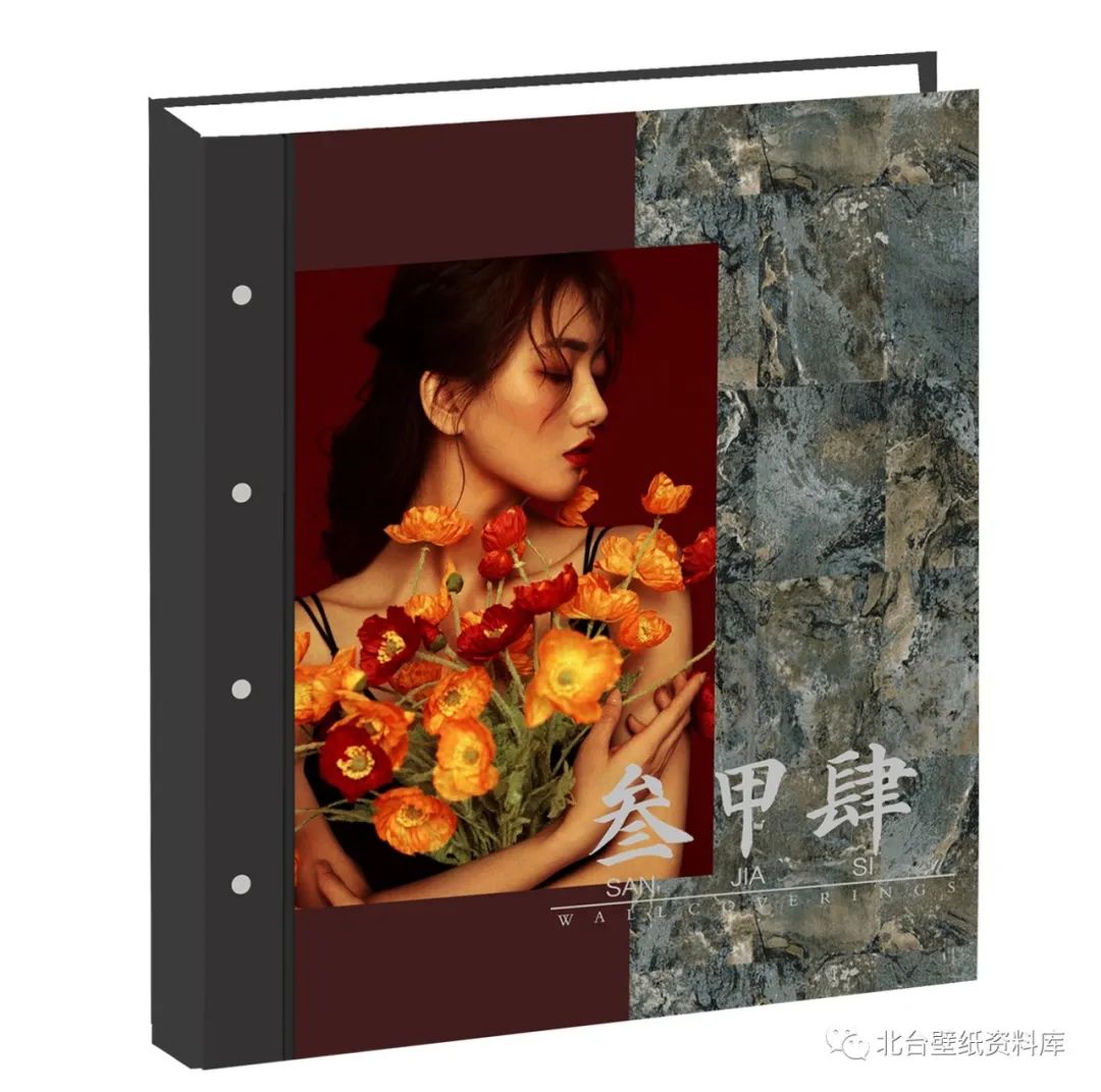 外贸精品系列—《三甲4》